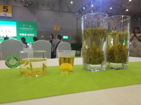 2022年7月28日四川茶博會(huì)正式啟幕